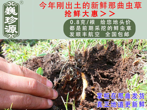 rxrxĲrx^ݣΡԴ0.8/rx^ڳҰrx